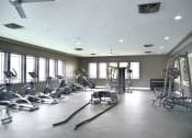 Thumbnail 31 of 35 - a gym with a lot of exercise equipment and windows