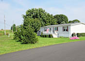 Thumbnail 2 of 3 - A white house with a flag on the front porch is surrounded by greenery.