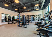 Thumbnail 17 of 67 - A gym with a variety of equipment including treadmills, weights, and exercise machines.
