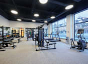 Thumbnail 39 of 67 - a gym with weights and other exercise equipment and large windows