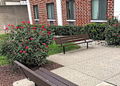 Thumbnail 2 of 11 - Section 8 Apts | Apartments in Allentown, PA | Allentown Towne House Apartments