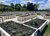 Thumbnail 8 of 19 - A garden with raised beds and plants in the foreground with a flag in the middle.