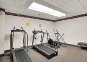 Thumbnail 10 of 18 - a fitness room with treadmills and weights