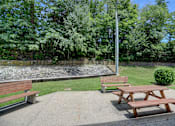 Thumbnail 5 of 14 - a group of benches in a park with trees in the background