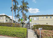 Thumbnail 38 of 51 - A sunny day at a residential area with houses and palm trees.