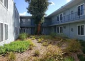 Thumbnail 4 of 40 - Villa Park Apartments courtyard
