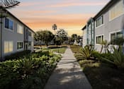 Thumbnail 1 of 40 - A pathway leads through a landscaped area between two rows of buildings.