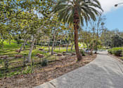 Thumbnail 30 of 51 - A park with a pathway, trees, and benches.