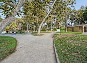 Thumbnail 29 of 51 - A tree-lined walkway leads to a building in a park.
