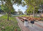 Thumbnail 31 of 51 - A park with benches and trees.