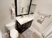 Thumbnail 3 of 45 - the preserve at ballantyne commons apartments bathroom with toilet and sink