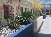 Thumbnail 24 of 24 - Beautiful landscaping and plants throughout Chadron Apartments