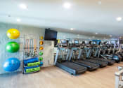 Thumbnail 8 of 54 - A gym with cardio equipment and weights on the wall