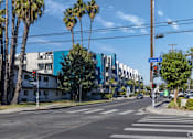 Thumbnail 6 of 54 - a city street with buildings and palm trees