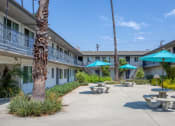 Thumbnail 4 of 37 - Picnic, courtyard at Crenshaw Manor