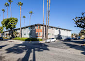 Thumbnail 33 of 37 - A sunny day in a parking lot with a building and palm trees in the background.