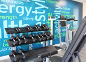 Thumbnail 13 of 31 - a wall of dumbbells in a gym with a wall graphic of the gym