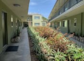 Thumbnail 6 of 51 - Courtyard landscaping