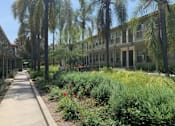Thumbnail 7 of 51 - Courtyard landscaping