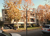 Thumbnail 27 of 30 - A tree with orange leaves stands in front of a grey building.