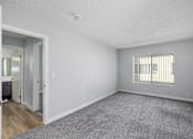 Thumbnail 6 of 34 - A room with a grey carpet and a window with blinds.