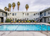 Thumbnail 34 of 40 - A swimming pool in front of a building with palm trees in the background.