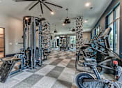 Thumbnail 11 of 20 - A well-equipped gym with a variety of exercise machines and a checkered floor.