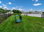 Thumbnail 25 of 31 - A green playground slide in a grassy area with a white fence in the background.