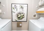 Thumbnail 21 of 24 - a small laundry room with a picture of a plant on the wall at Merion Milford Apartment Homes, Milford, CT 06460