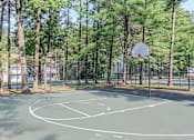 Thumbnail 11 of 27 - A basketball court surrounded by trees.