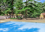 Thumbnail 15 of 27 - A swimming pool surrounded by trees and a yellow umbrella.