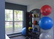 Thumbnail 21 of 32 - Weights at The Fountains at Deerwood Apartments, Jacksonville