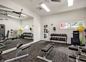 Thumbnail 9 of 34 - A gym with a variety of equipment including weights and exercise balls.