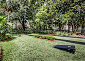 Thumbnail 34 of 34 - A black object is on the grass in a well kept garden.