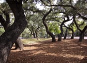Thumbnail 16 of 19 - Forest Trails at Walnut Hill, San Antonio, TX, 78229