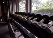 Thumbnail 18 of 19 - Free Weights  at Walnut Hill, Texas