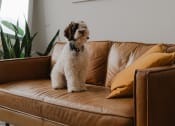 Thumbnail 4 of 10