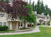 Thumbnail 8 of 24 - A tree with purple leaves is in front of a building.