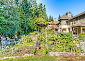 Thumbnail 12 of 24 - A backyard with a vegetable garden and a house in the background.