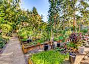 Thumbnail 16 of 18 - A garden with a variety of plants and trees.
