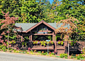 Thumbnail 31 of 33 - A gazebo with a green roof is surrounded by trees and plants.