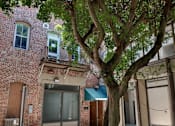 Thumbnail 21 of 22 - a tree in front of a brick building