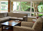 Thumbnail 8 of 18 - A brown couch sits in front of a window with a view of trees and a building outside.