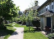 Thumbnail 10 of 24 - A tree-lined residential street with a sidewalk and a chair on the porch.