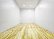 Thumbnail 18 of 18 - A squash court with wooden flooring and white walls.