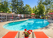 Thumbnail 5 of 25 - A pool surrounded by trees and chairs.