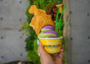 Thumbnail 92 of 104 - Ice-cream Cup at Fedora Bliss LLC, Woodland Hills
