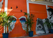 Thumbnail 80 of 104 - Wall Painting View at Fedora Bliss LLC, California, 91367