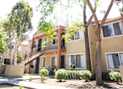 Thumbnail 18 of 20 - A tree in front of a building with a yellow house.