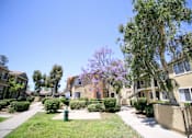 Thumbnail 3 of 20 - A row of houses with a tree in front of them.